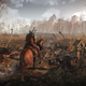 The Witcher III: Wild Hunt